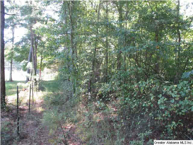1295 Deer Trace Road Pell City, AL 35125 - Photo 3 of 3