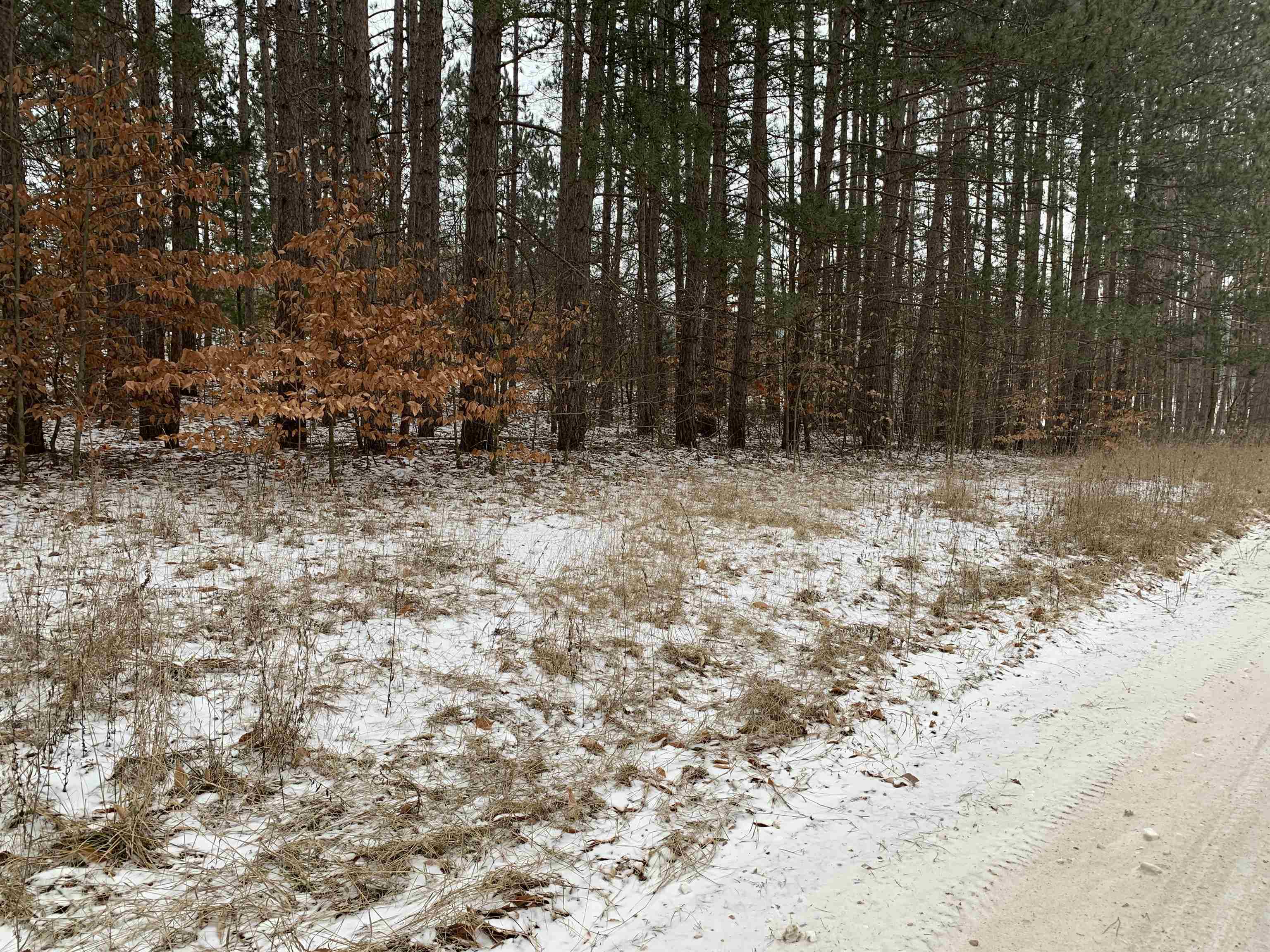 0 South 15 1/2 Road Boon, MI 49618 - Photo 9 of 11