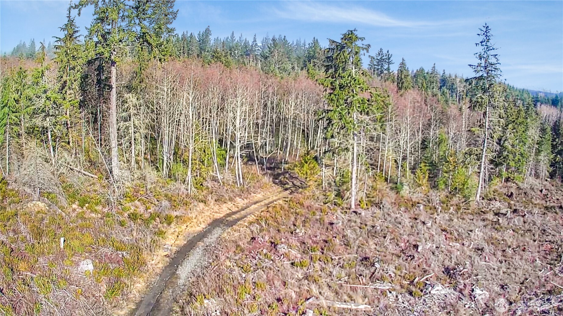 0 B-1000 Road Sequim, WA 98382 - Photo 2 of 16
