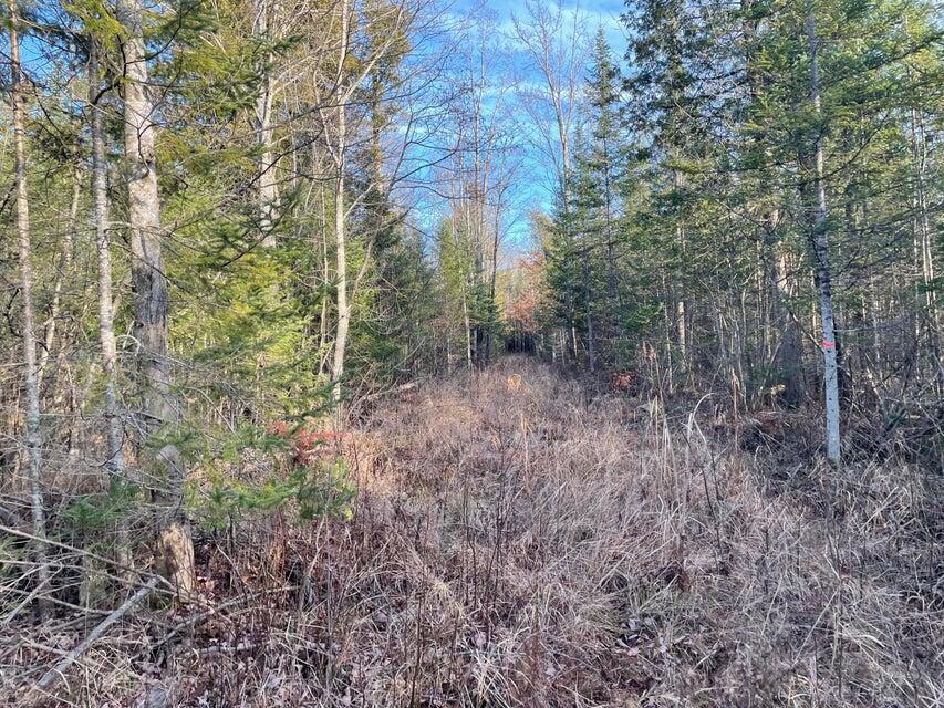 5-ac North Everett Road Roscommon, MI 48653 - Photo 1 of 10 Everett - 9
