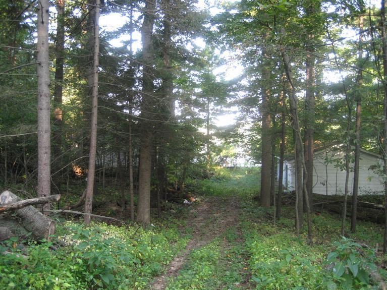 66771 Conrad Road Edwardsburg, MI 49112 - Photo 1 of 8 Primary Photo