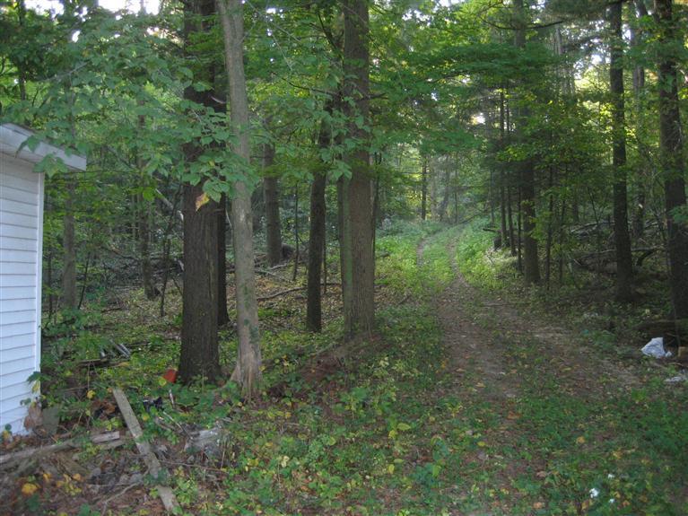 66771 Conrad Road Edwardsburg, MI 49112 - Photo 4 of 8 Additional Photo