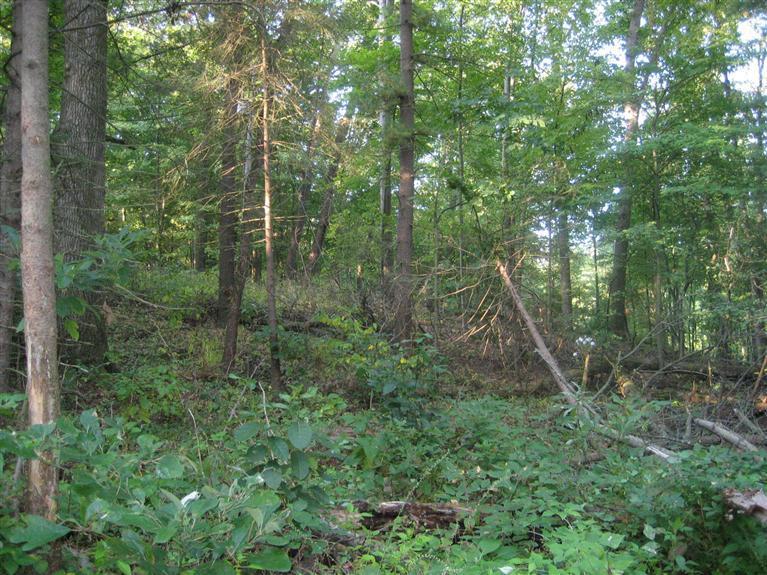 66771 Conrad Road Edwardsburg, MI 49112 - Photo 5 of 8 Additional Photo