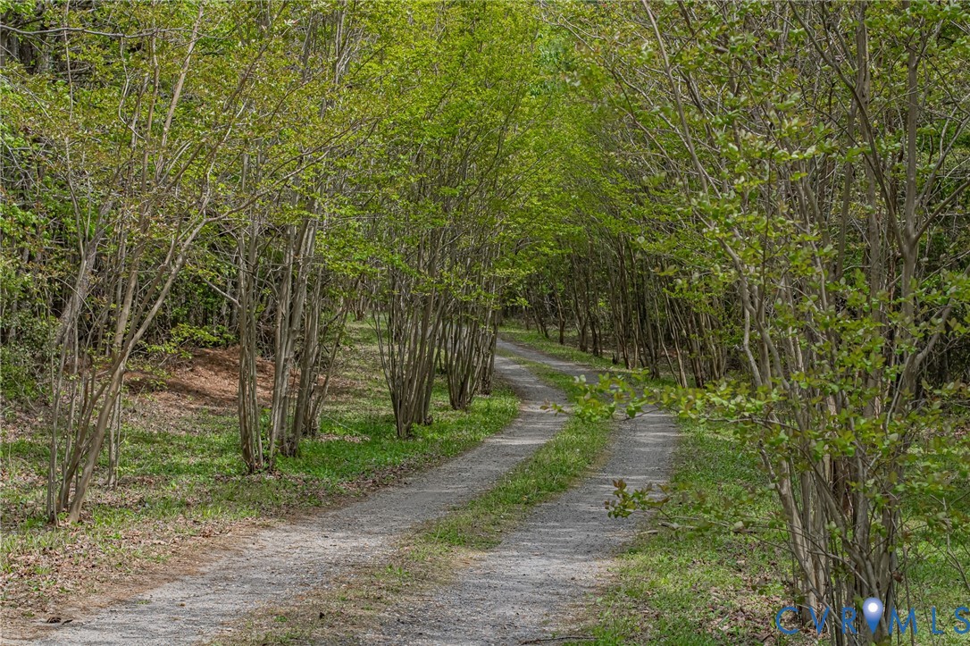 10720 Kimages Road Charles City, VA 23030 - Photo 55 of 55 a view of a yard with plants and trees
