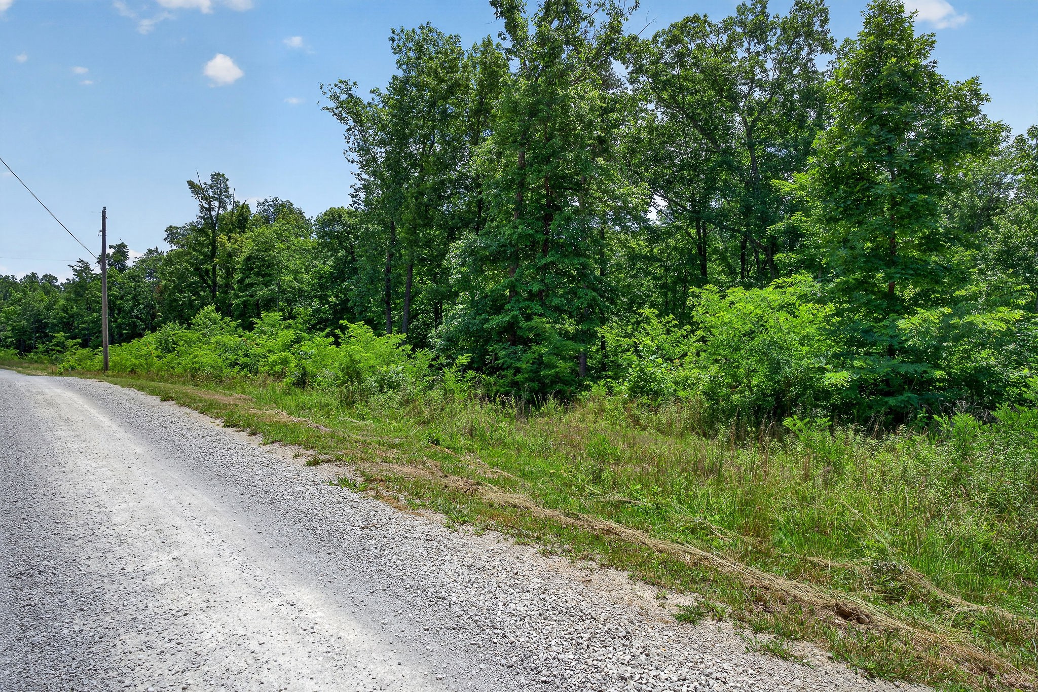 0 Coal Bank Road Sparta, TN 38583 - Photo 15 of 15 a view of a yard with plants and a small yard