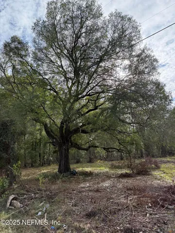 a view of a yard with a tree