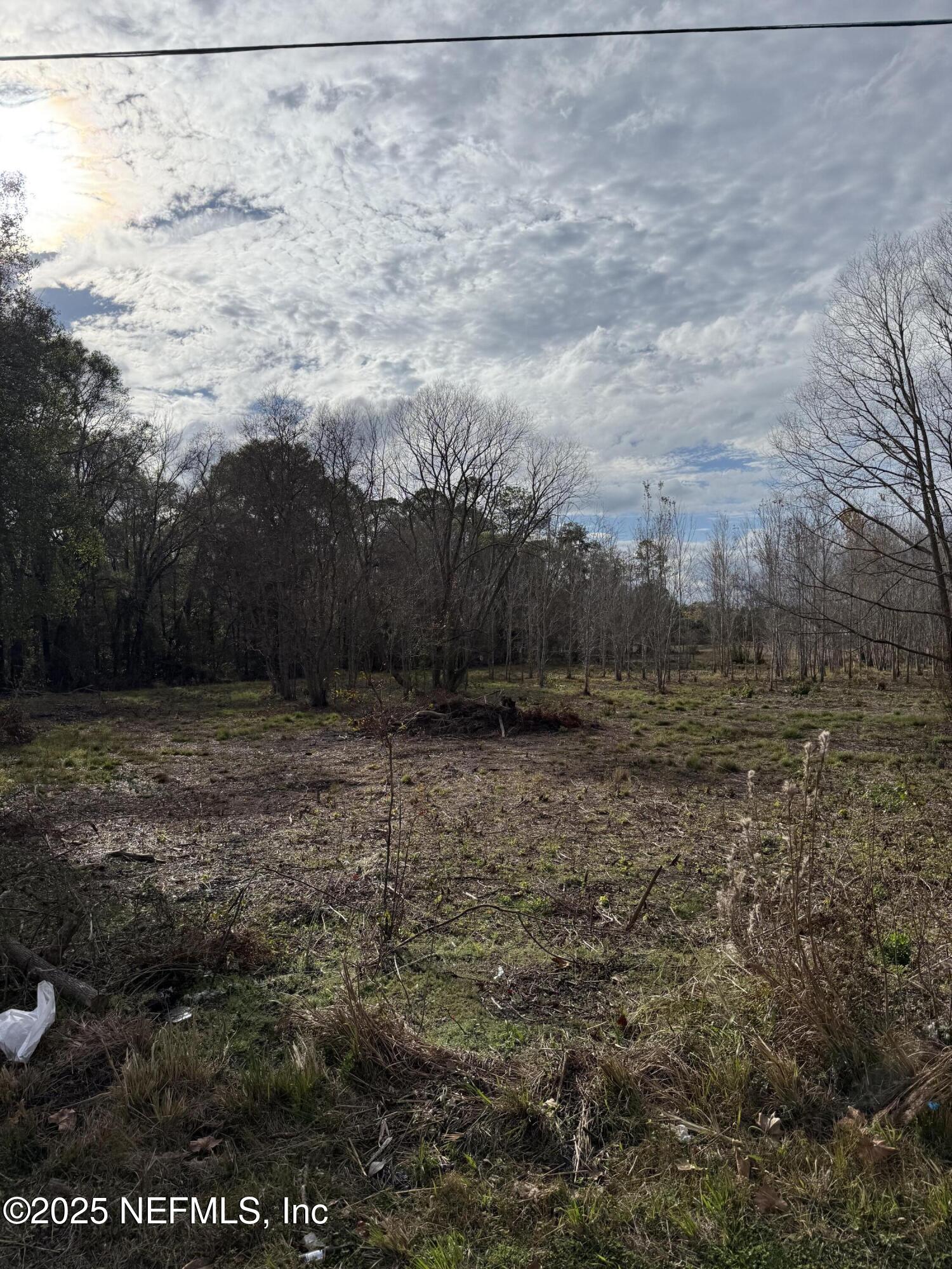 19410 Highway 16 Starke, FL 32091 - Photo 2 of 7 a view of a yard
