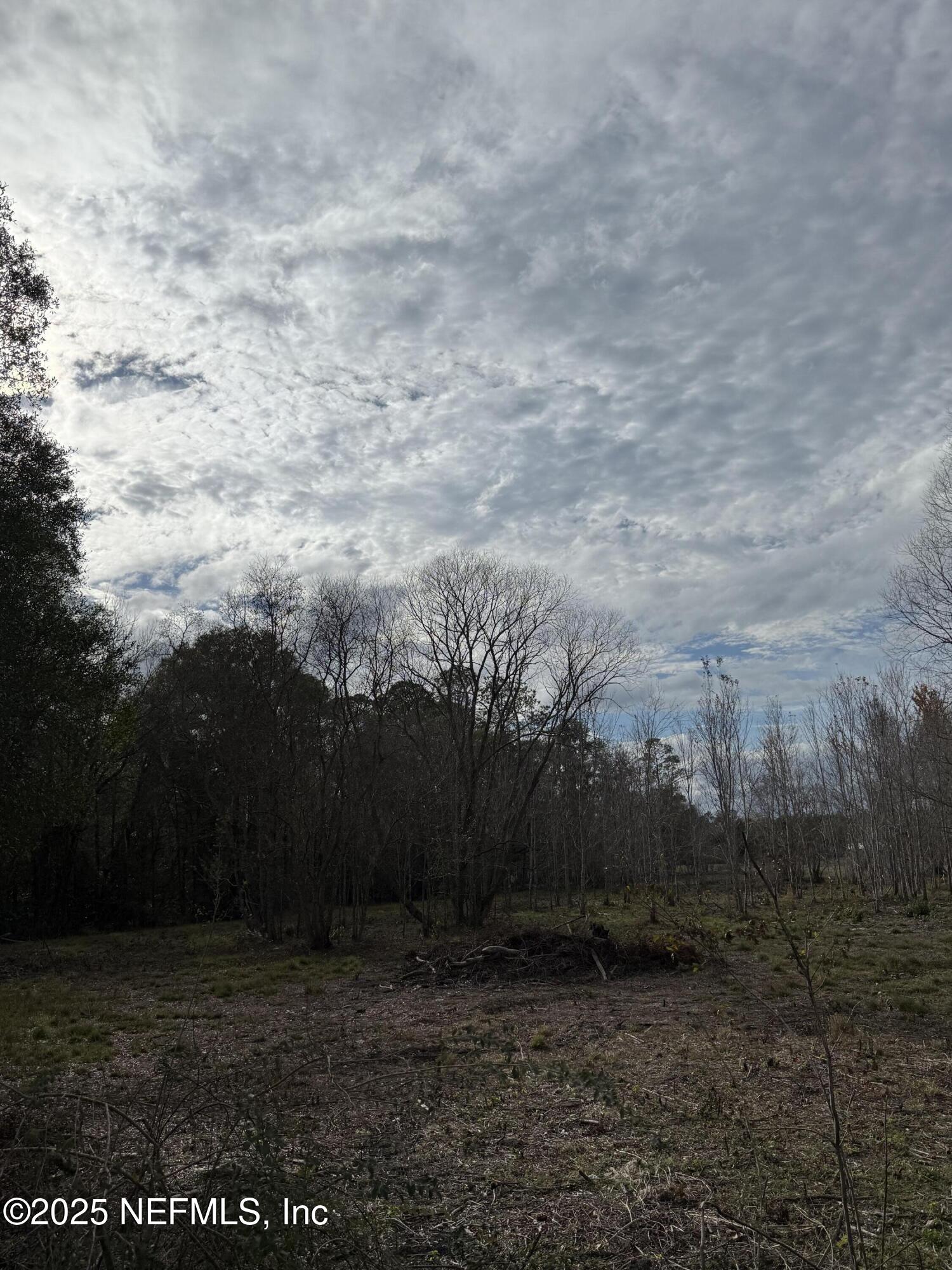 19410 Highway 16 Starke, FL 32091 - Photo 3 of 7 a view of a yard