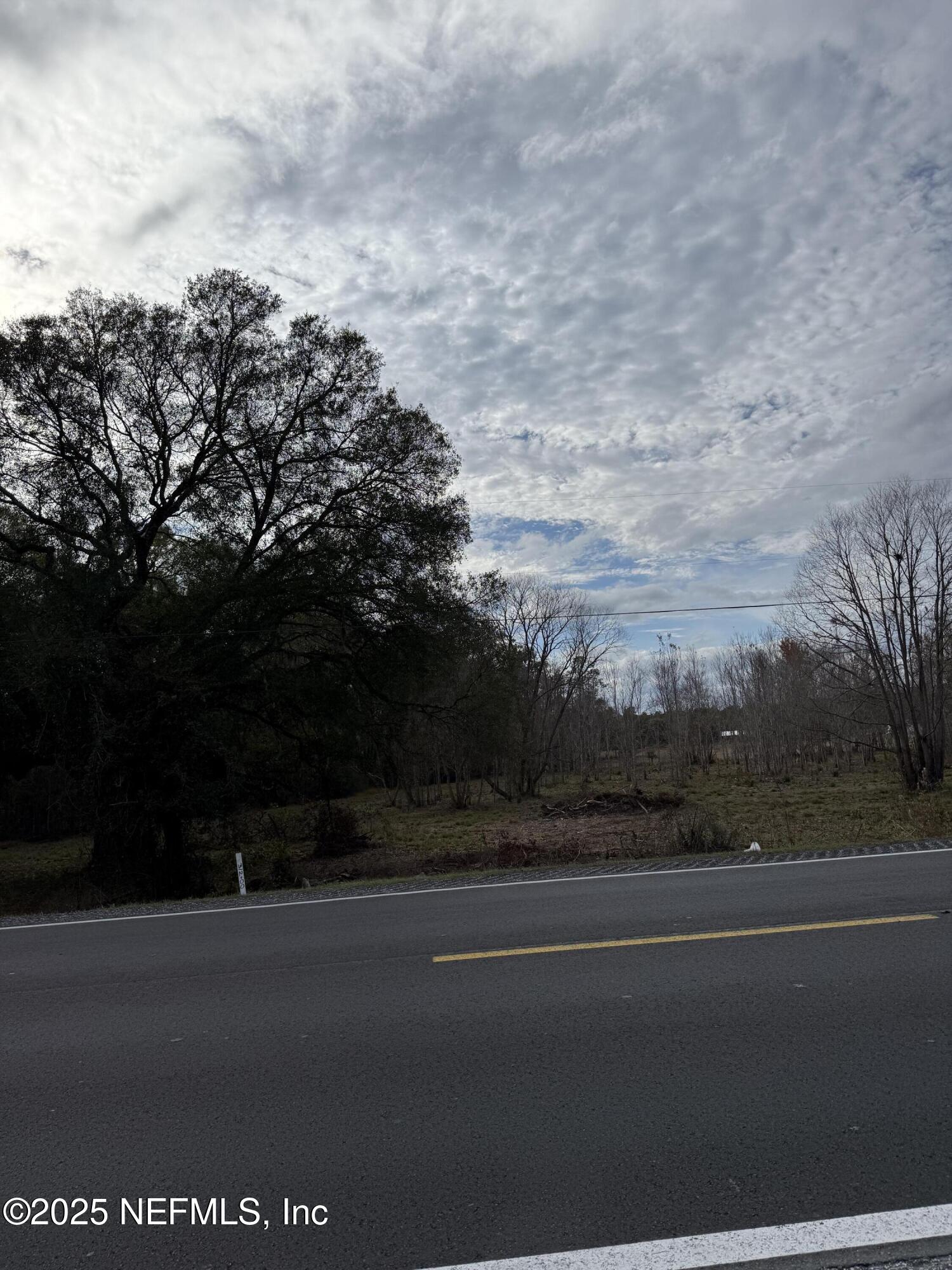 19410 Highway 16 Starke, FL 32091 - Photo 6 of 7 a view of a yard