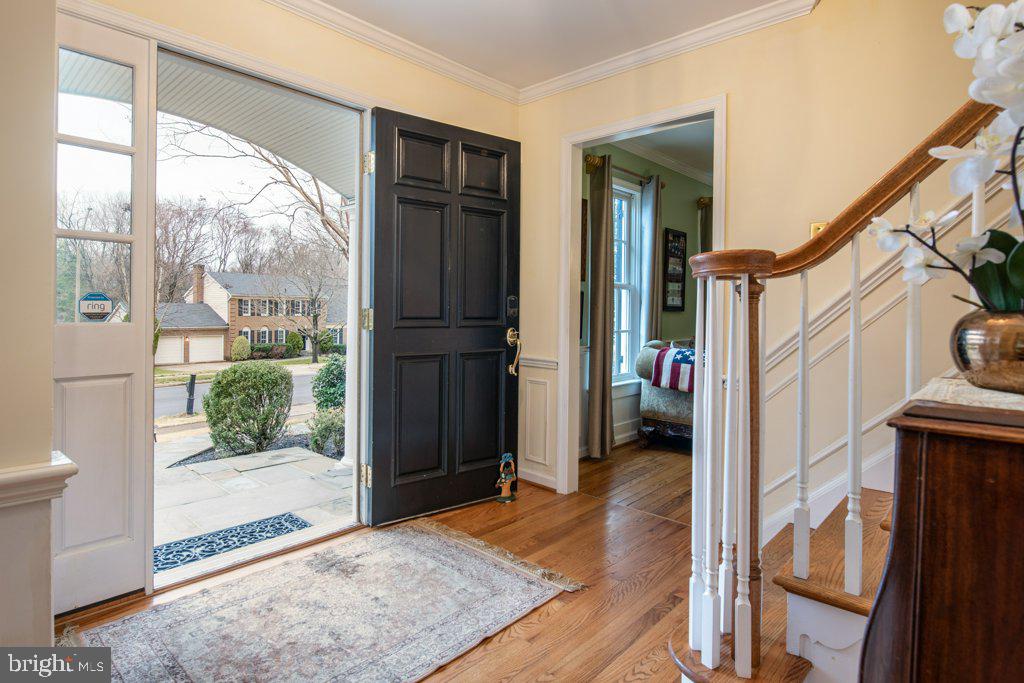 2003 Windmill Lane Alexandria, VA 22307 - Photo 4 of 46