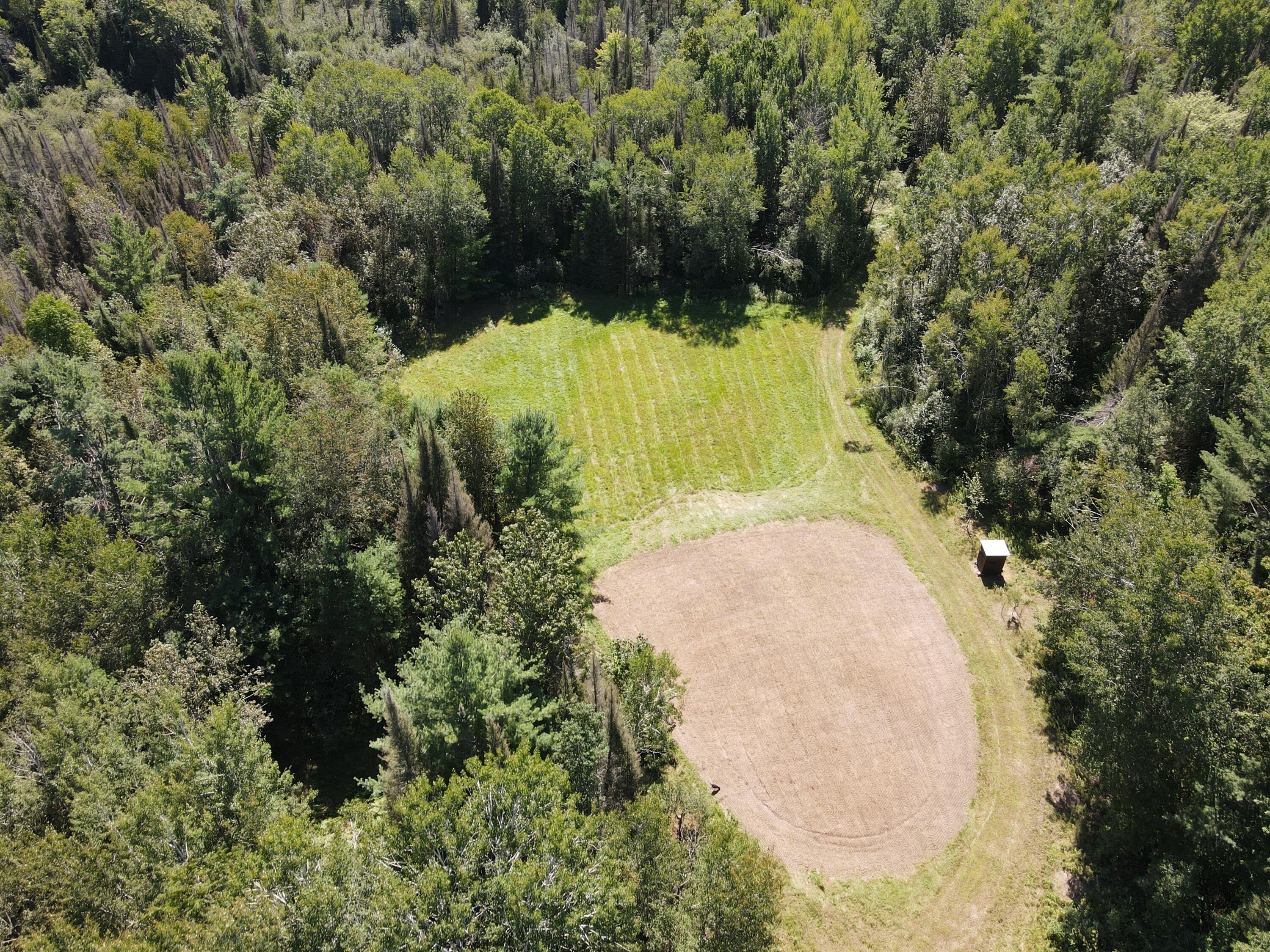 6720 Welch Road Curran, MI 48728 - Photo 113 of 155 DJI_0664