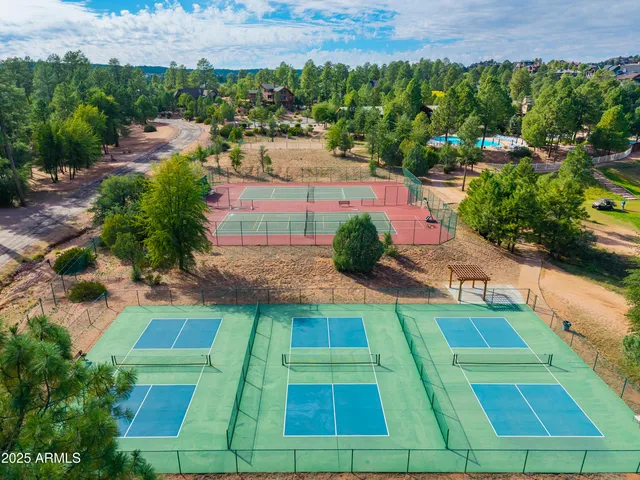 a view of a park with large trees