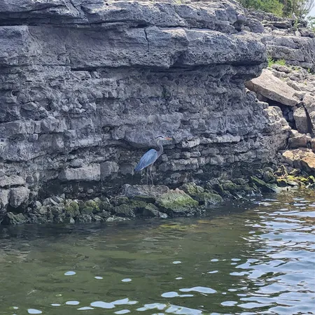 $2,200 | 3404 American Drive, Unit 3202, Lago Vista, TX 78645