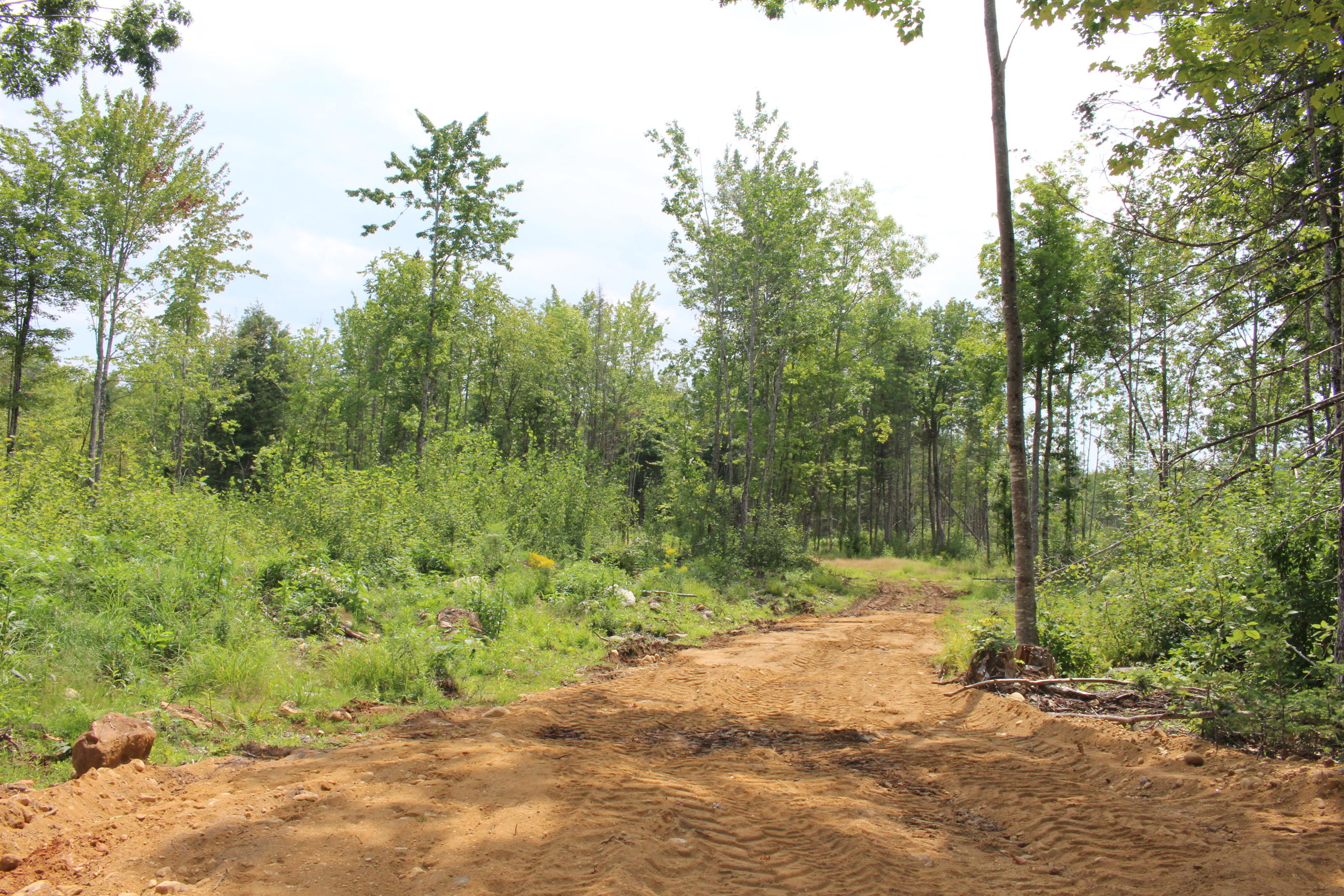0 Route 117 Road South Paris, ME 04281 - Photo 5 of 11 IMG_6402