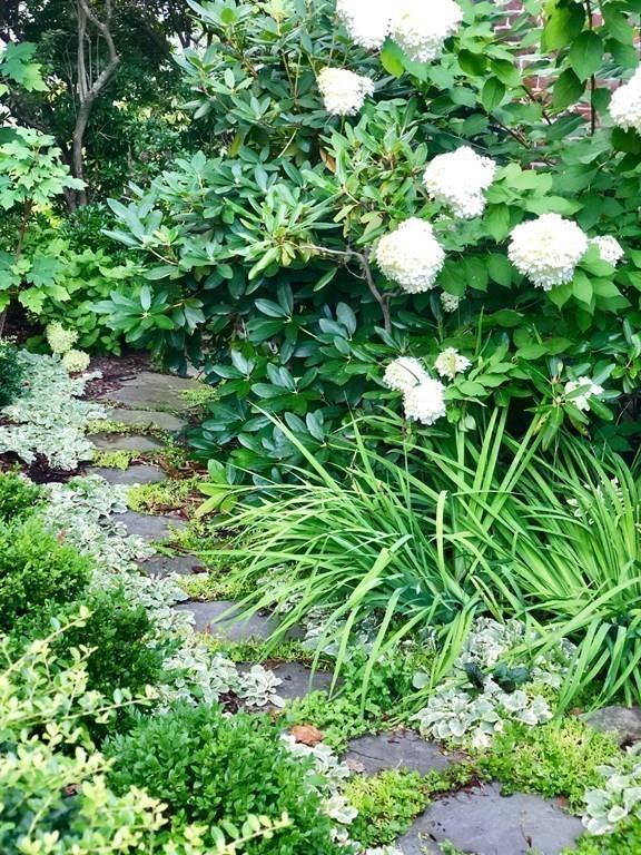 42 Longfellow Road Wellesley, MA 02481 - Photo 34 of 37