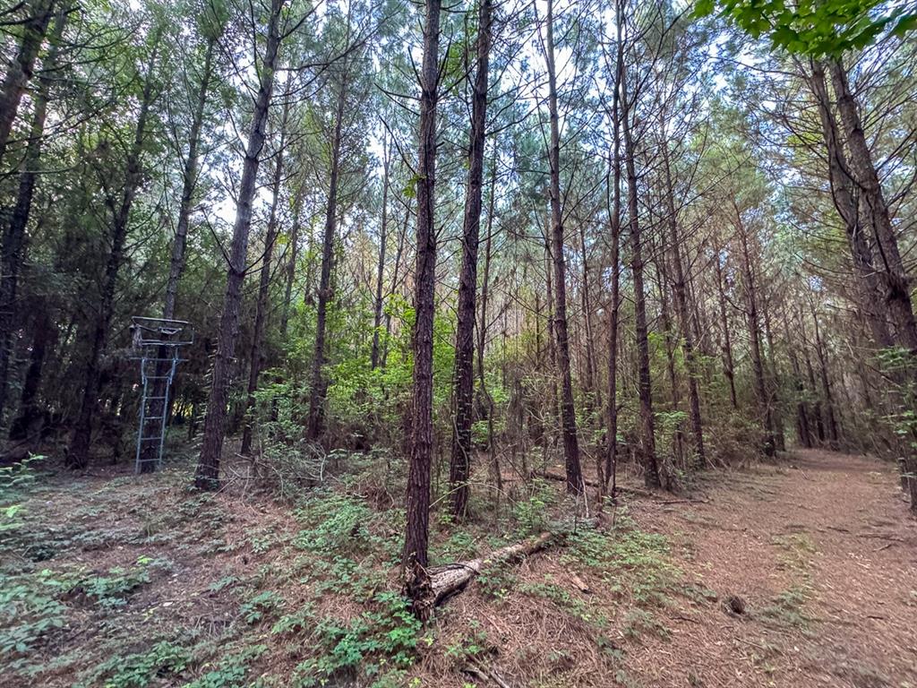 T-1 Dido Loop Pitkin, LA 70656 - Photo 7 of 13