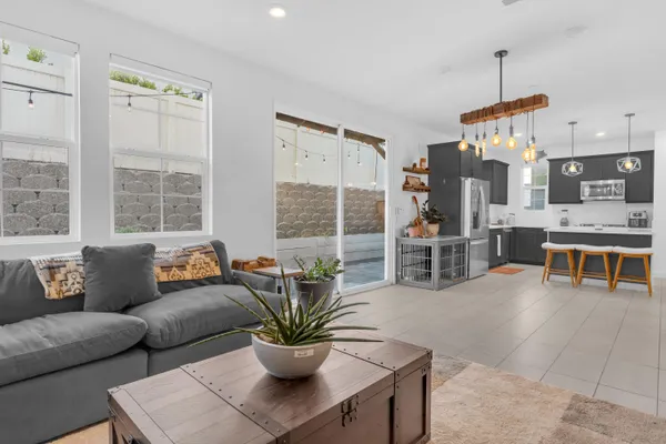 a living room with furniture potted plant and windows