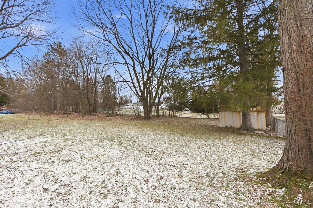 314 Davis Street Manlius, NY 13057 - Photo 33 of 37