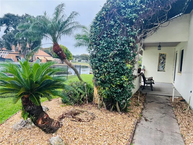 a view of a backyard