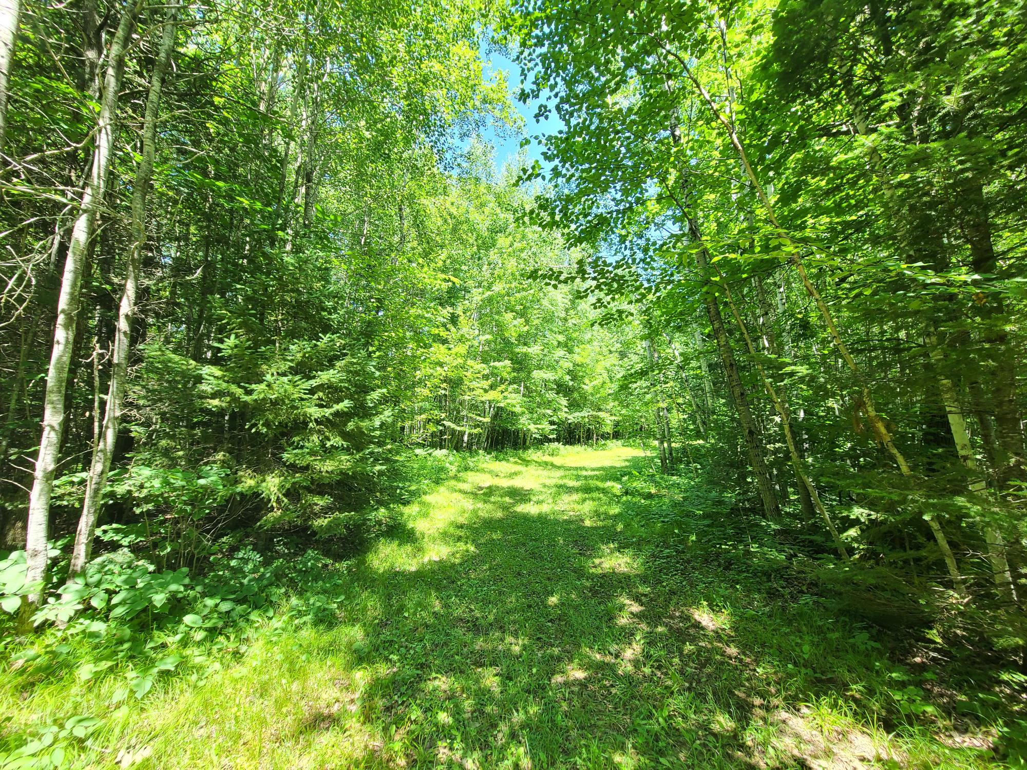 On Simon Road, Unit 78ACRES Fifield, WI 54524 - Photo 3 of 12 Gallery Image 3