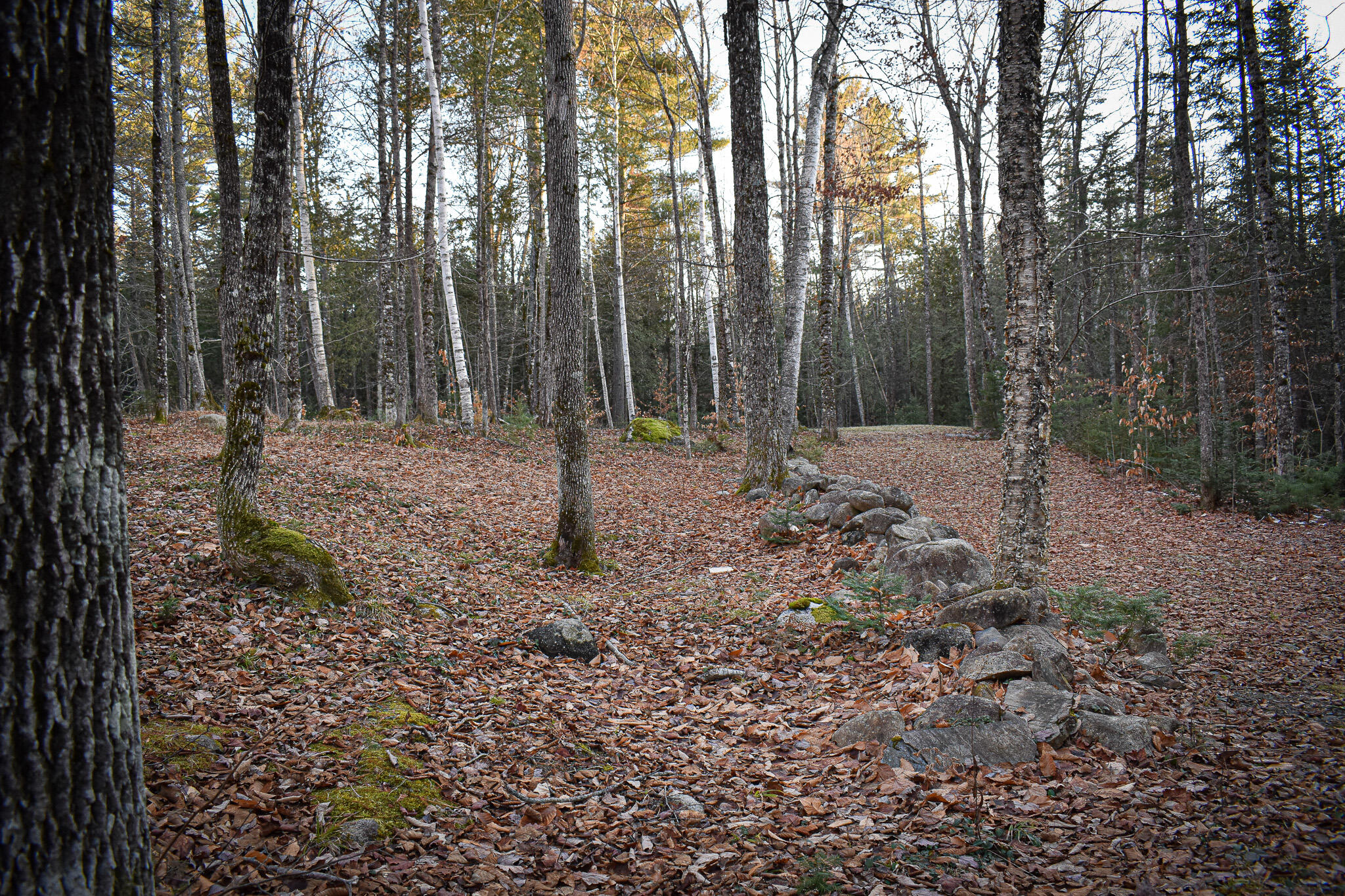 187 Foxcroft Center Road Dover-Foxcroft, ME 04426 - Photo 20 of 31 DSC_0144
