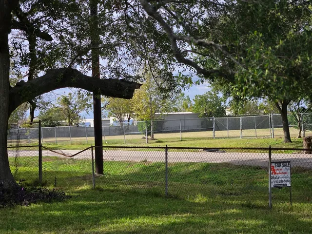 a view of a park with a large tree