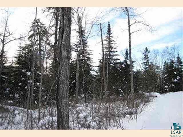 Xx Kiwadinipi Road Isabella, MN 55607 - Photo 3 of 6 Gallery Image 3
