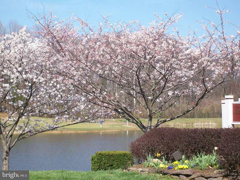 3800 Ridge Knoll Court, Unit 2 Fairfax, VA 22033 - Photo 37 of 50 a view of lake with green space