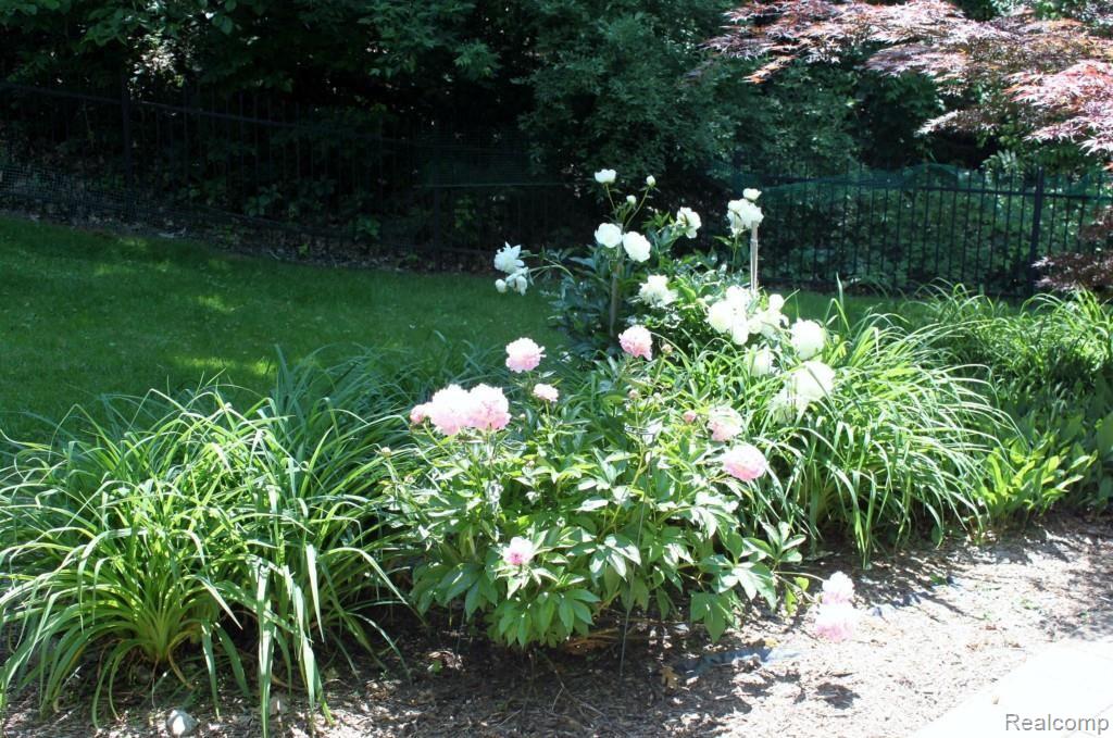 10139 Gibbs Road Clarkston, MI 48348 - Photo 40 of 44 Beautiful Flowers