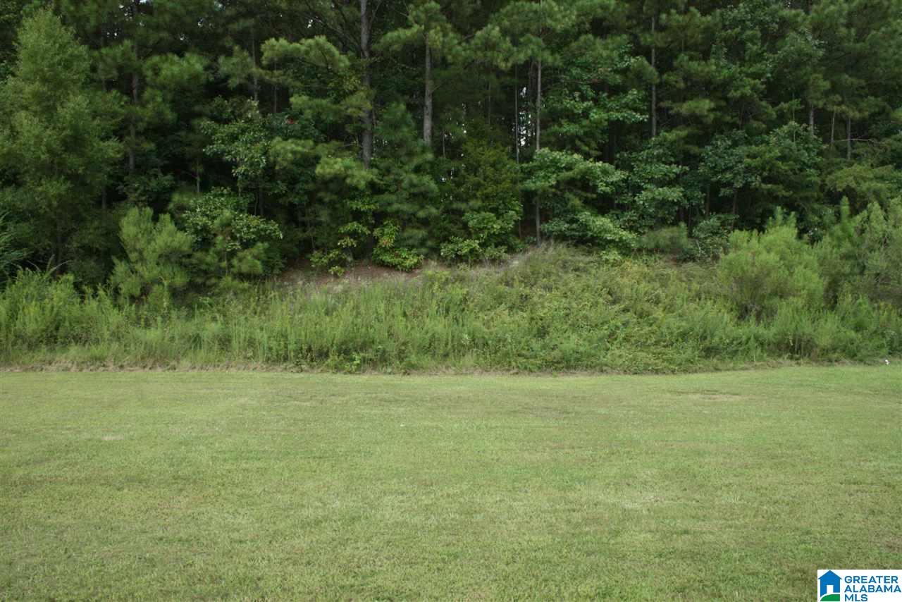 16046 Stone Ridge Parkway Brookwood, AL 35444 - Photo 15 of 15