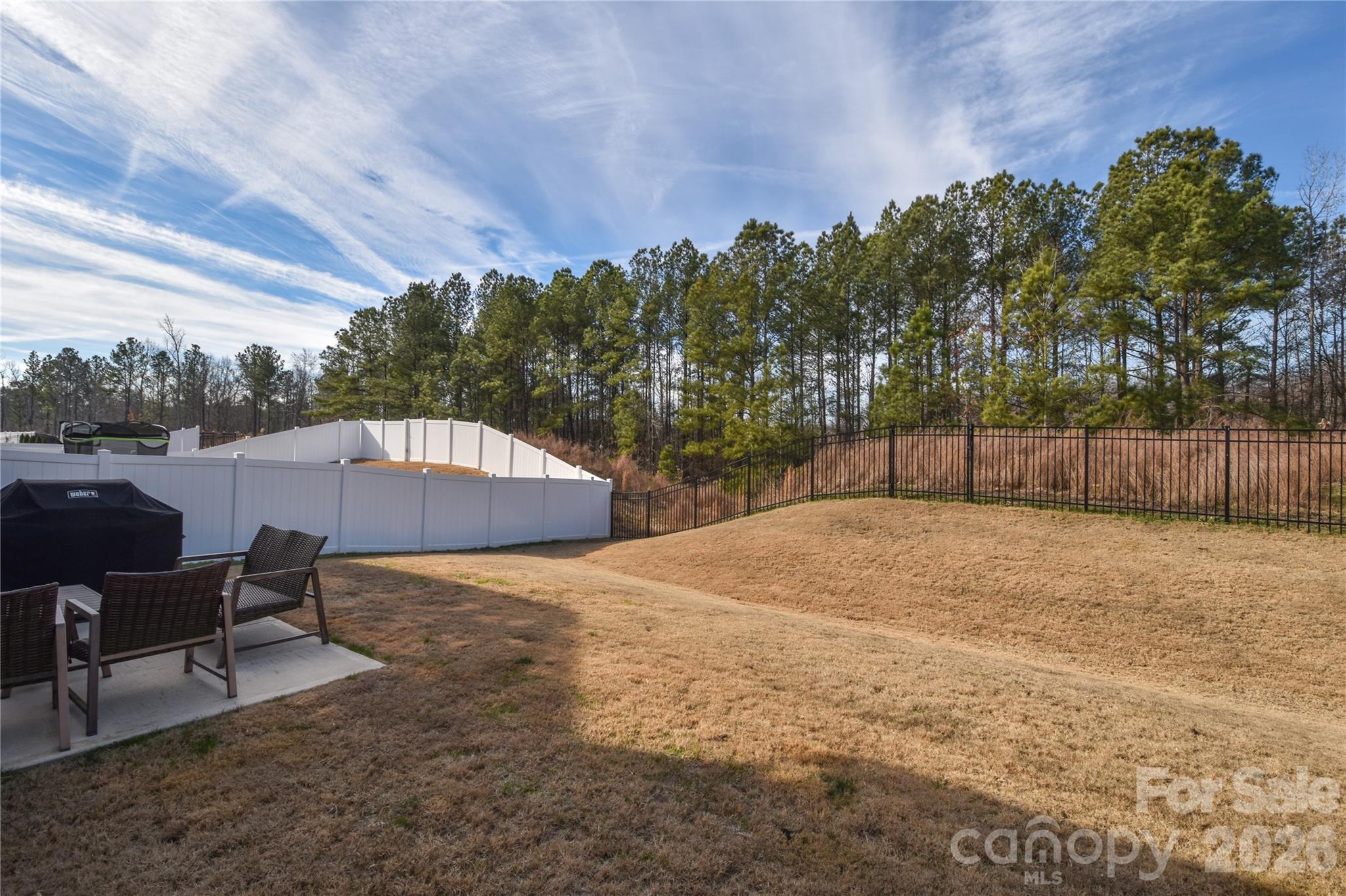 3050 Streamside Drive Davidson, NC 28036 - Photo 5 of 34