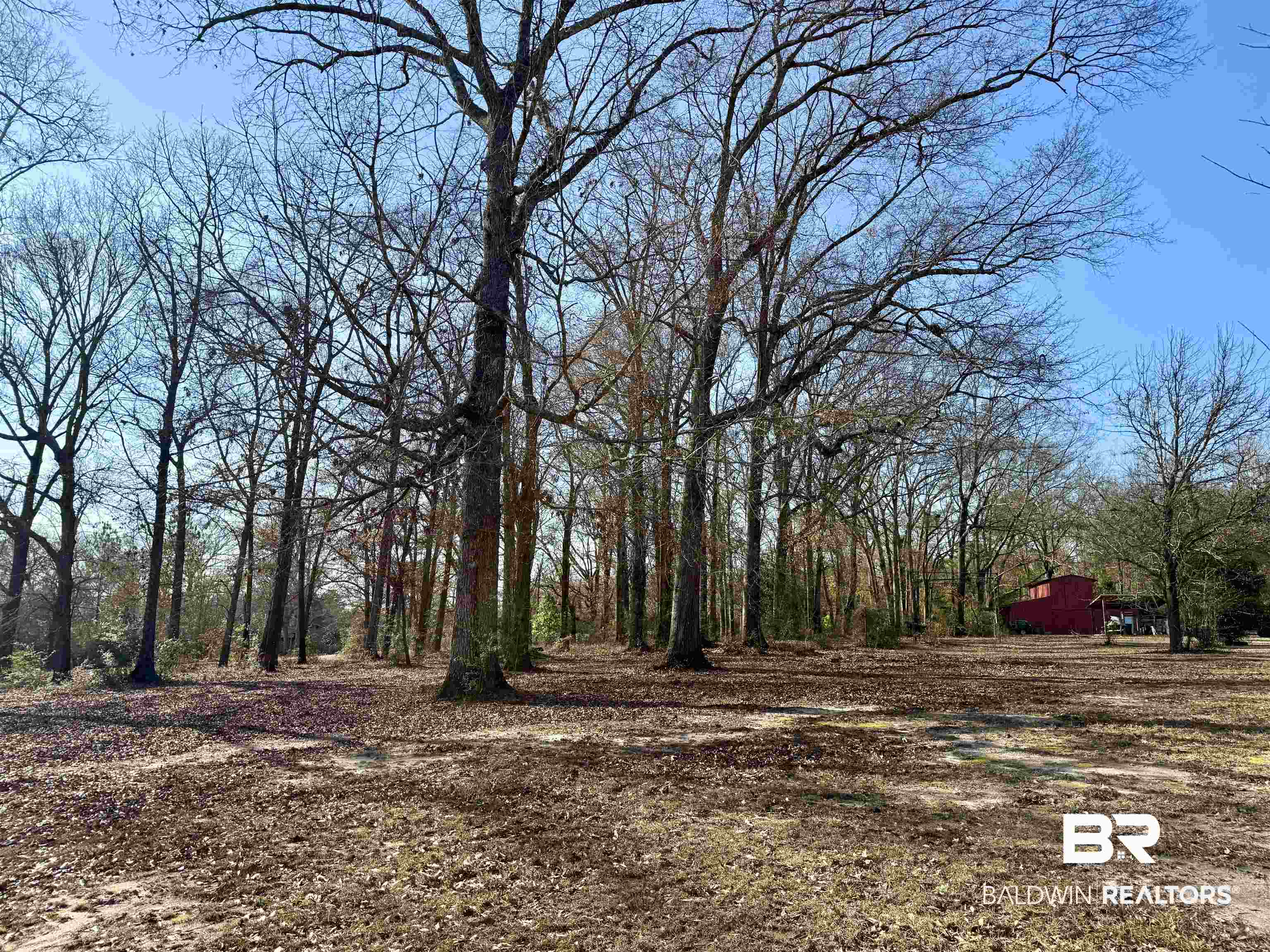 5646 Foshee Road Brewton, AL 36426 - Photo 31 of 37 View of yard