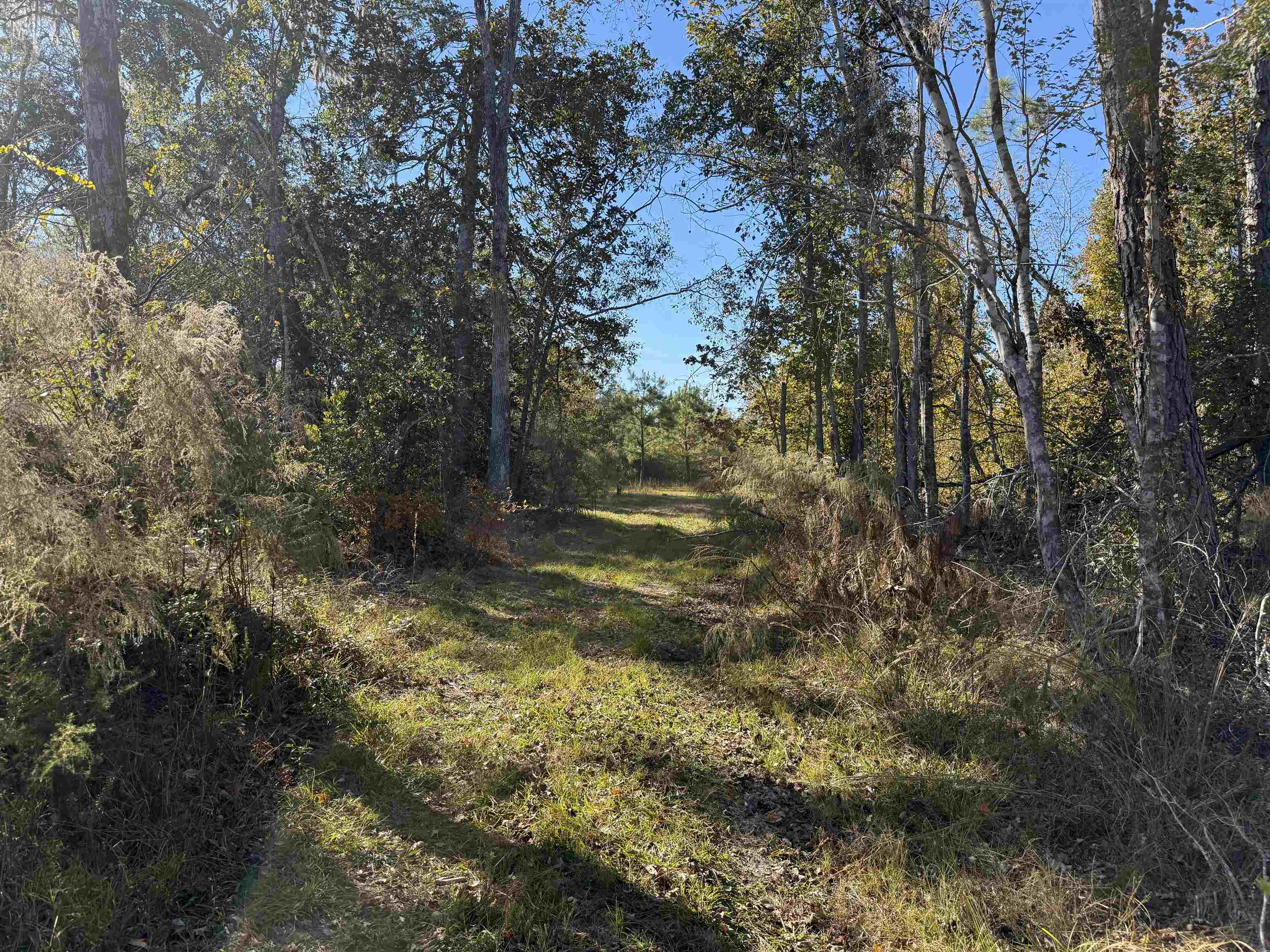 651 Northwest Flowers Road Madison, FL 32340 - Photo 19 of 20