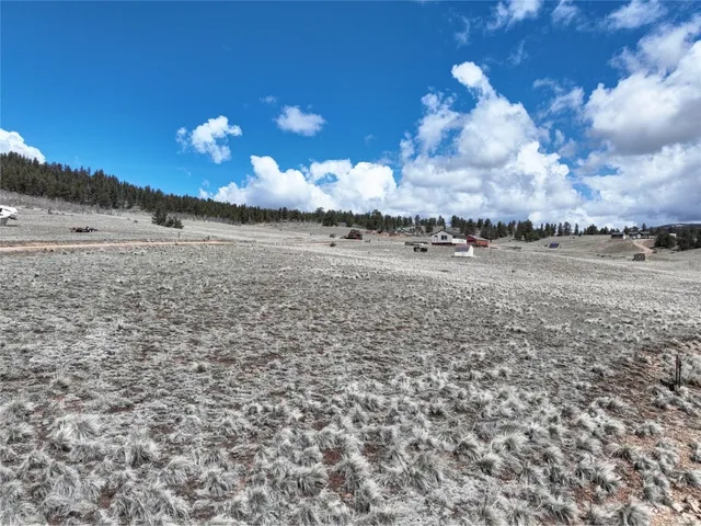 a view of a dry yard