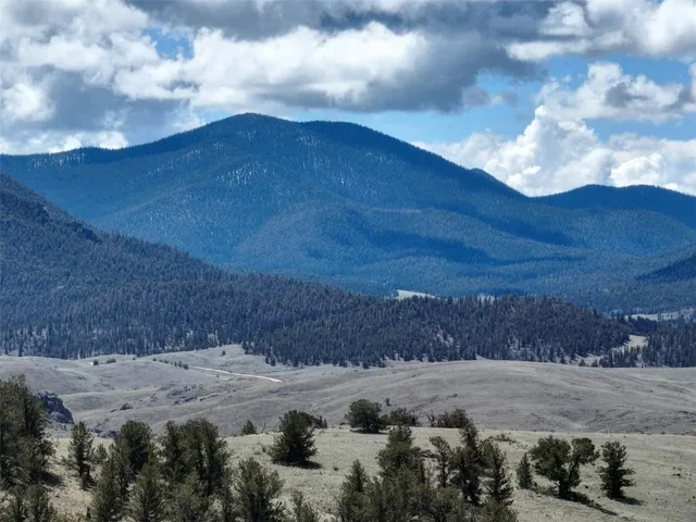a view of a bunch of trees in a field