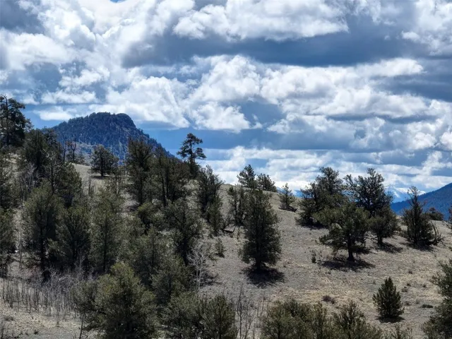 a view of a lot of trees