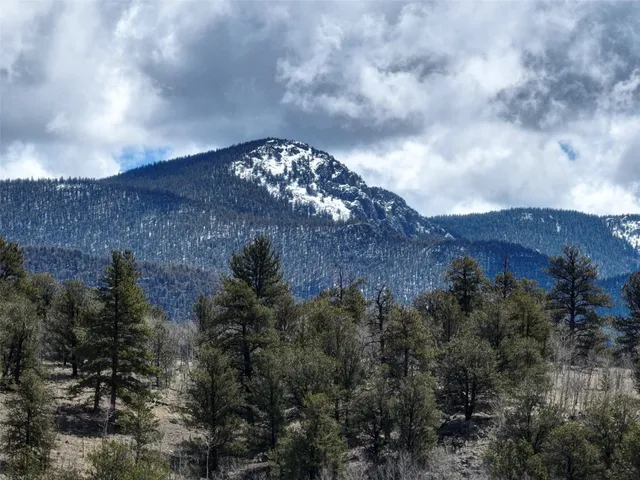 a view of a dry yard