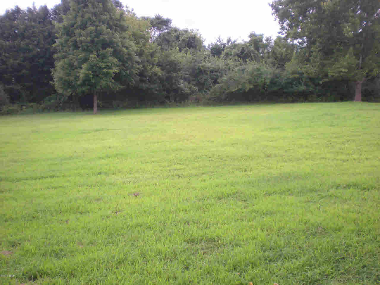 725 Hartline Road Makanda, IL 62958 - Photo 24 of 26 Gallery Image 24