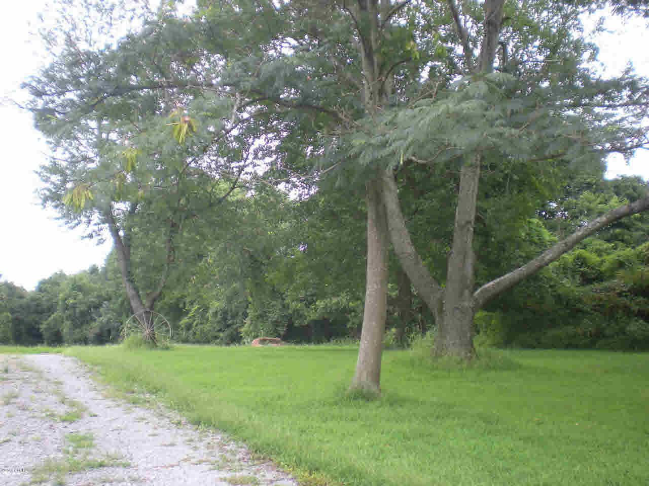 725 Hartline Road Makanda, IL 62958 - Photo 25 of 26 Gallery Image 25