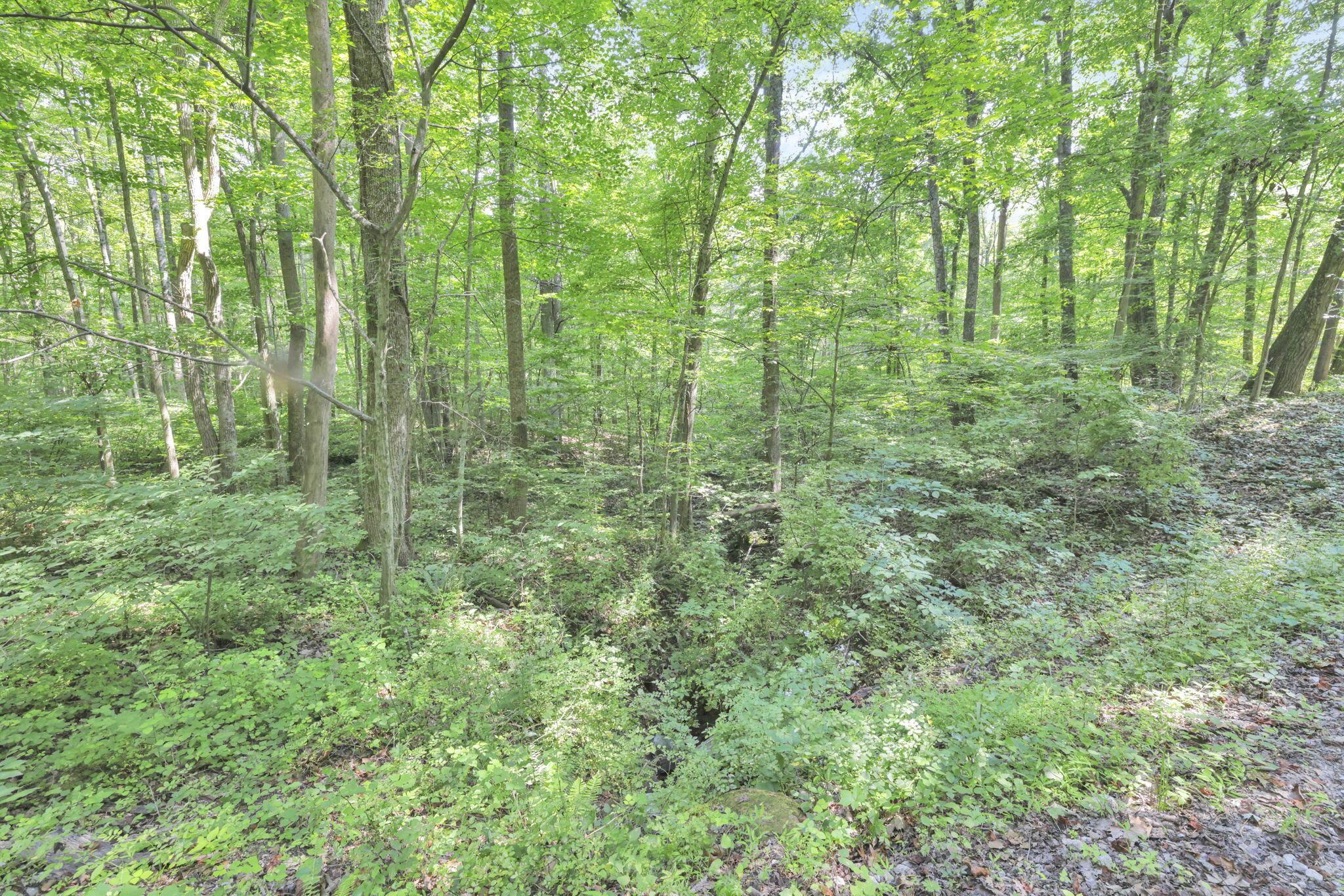 0 Thad Hall Road Laurelville, OH 43135 - Photo 7 of 28 28-web-or-mls-GR7A6873