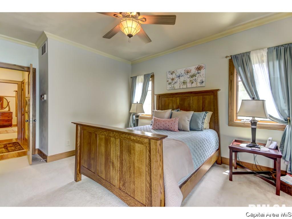 4819 Stagecoach Road Pleasant Plains, IL 62677 - Photo 13 of 36