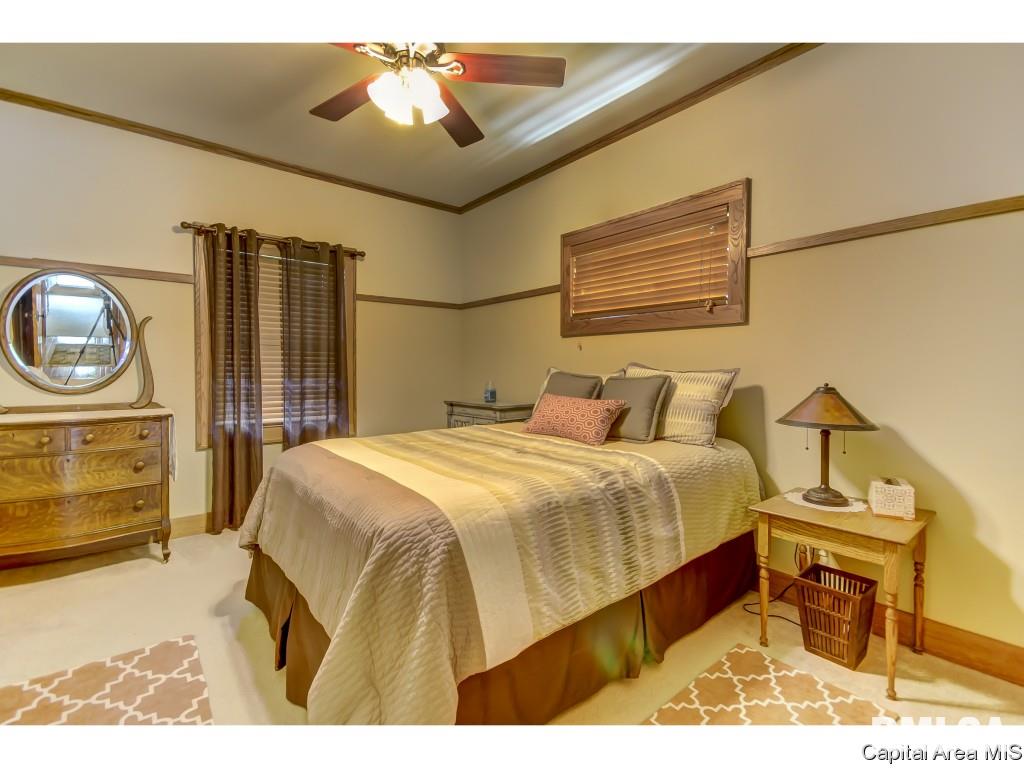 4819 Stagecoach Road Pleasant Plains, IL 62677 - Photo 18 of 36