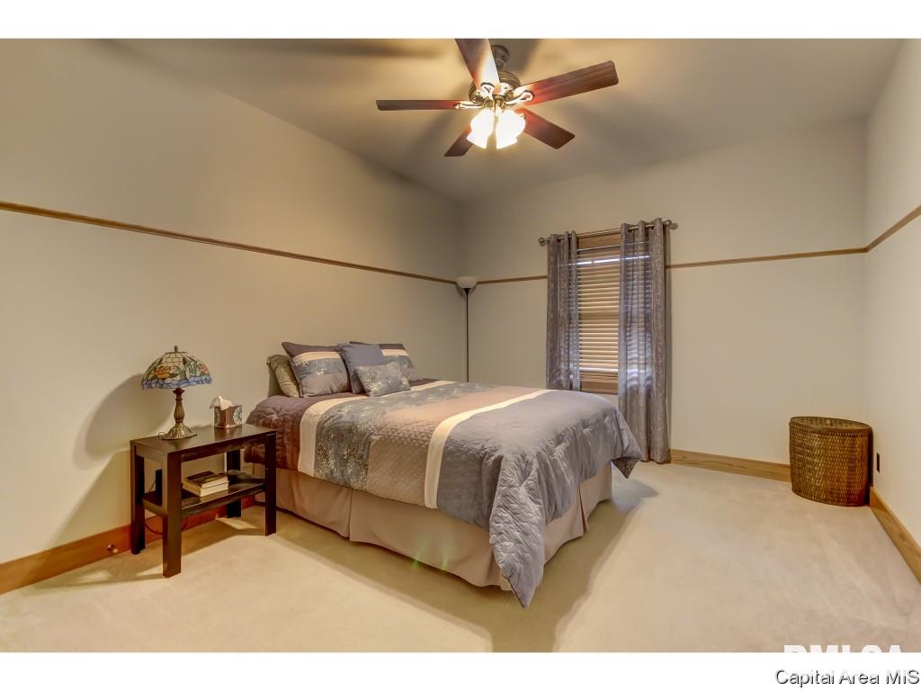 4819 Stagecoach Road Pleasant Plains, IL 62677 - Photo 19 of 36