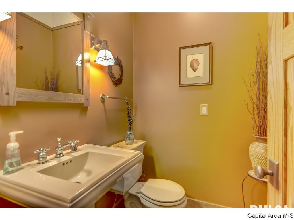 4819 Stagecoach Road Pleasant Plains, IL 62677 - Photo 21 of 36