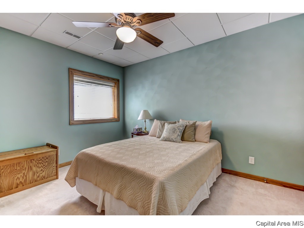4819 Stagecoach Road Pleasant Plains, IL 62677 - Photo 25 of 36