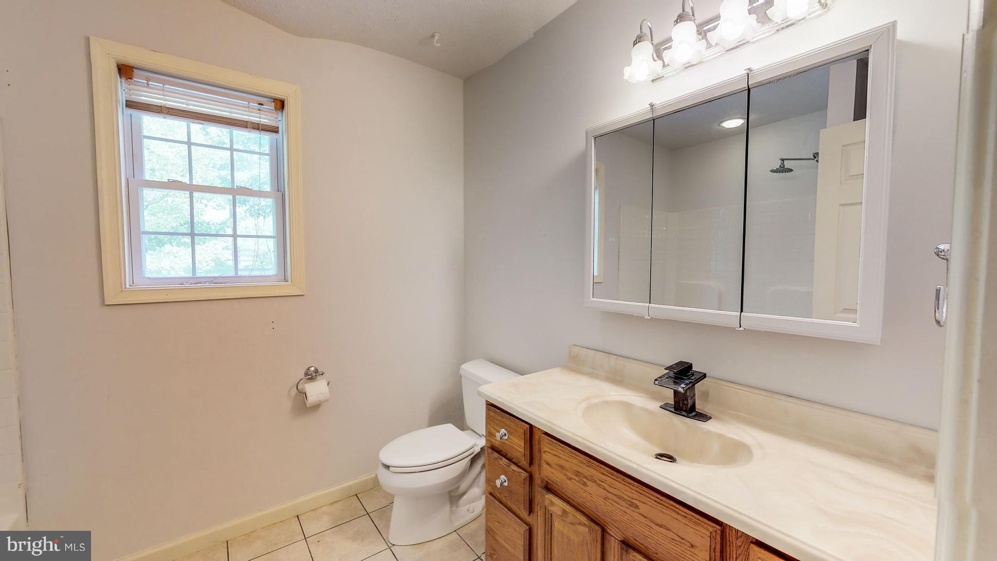 141 Holiday Road Cross Junction, VA 22625 - Photo 22 of 30 a bathroom with a sink toilet and vanity