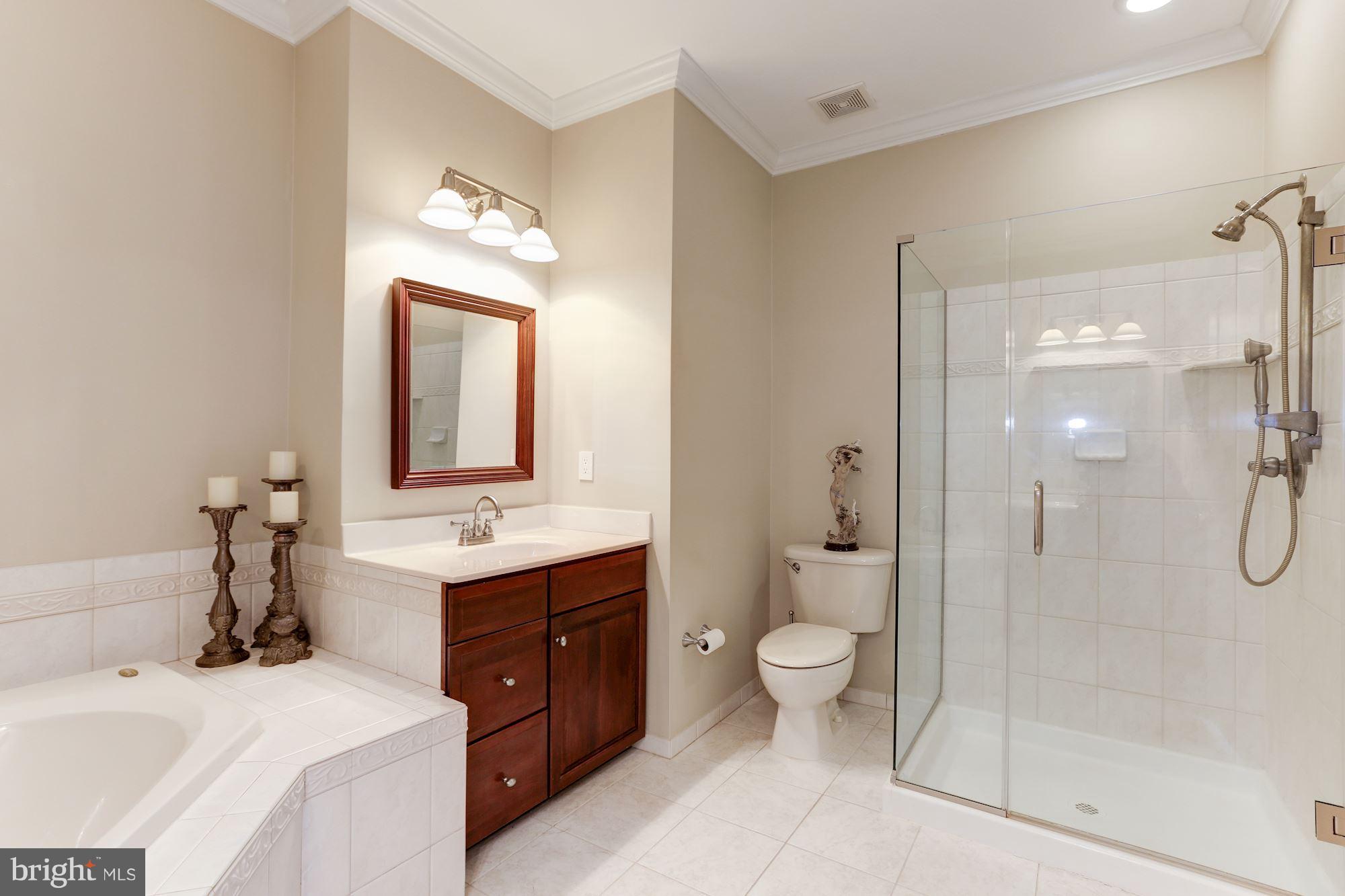 19903 Naples Lakes Terrace Ashburn, VA 20147 - Photo 16 of 30 Bedroom (Master)