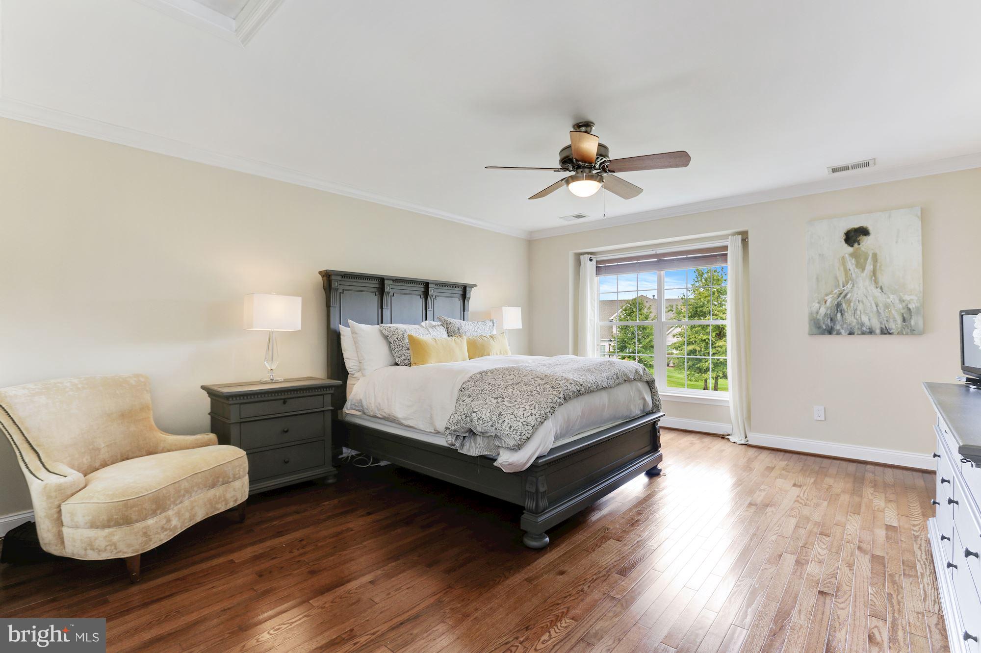 19903 Naples Lakes Terrace Ashburn, VA 20147 - Photo 18 of 30 Bedroom