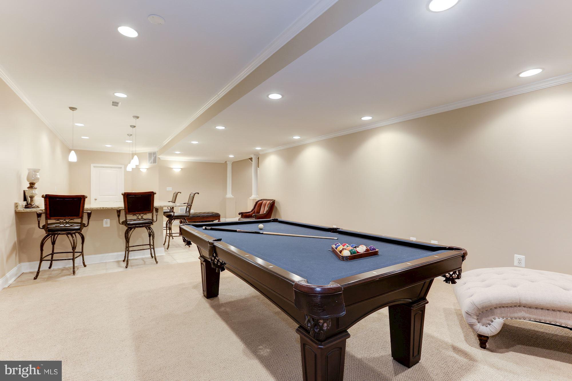 19903 Naples Lakes Terrace Ashburn, VA 20147 - Photo 26 of 30 Basement