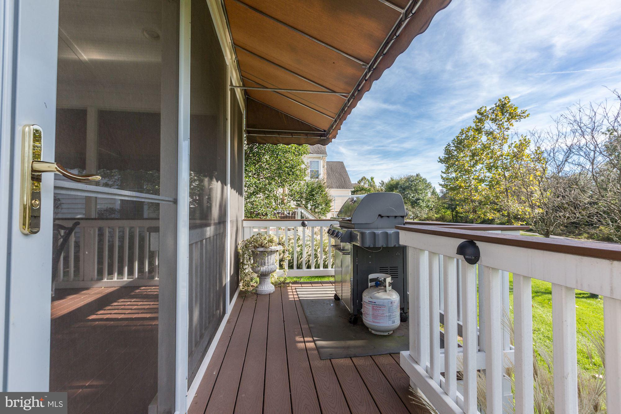 19903 Naples Lakes Terrace Ashburn, VA 20147 - Photo 29 of 30 Exterior (Rear)